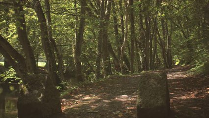 Découvrez Tellin et ses paysages