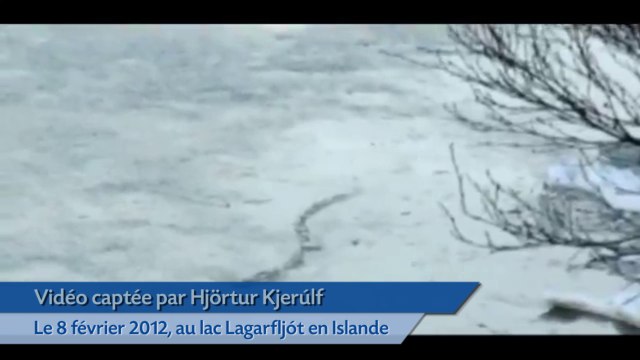 Un monstre «du Loch Ness» repéré sur une vidéo