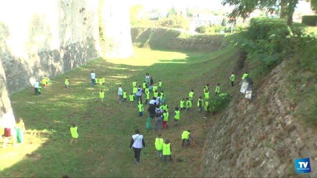 800 écoliers carcassonnais ont nettoyé ce vendredi matin la Cité, dans le cadre de l'opération Nettoyons la Nature .