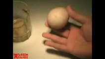 Sirke dolu bardağa koyulan yumurta bakın ne hale geliyor
