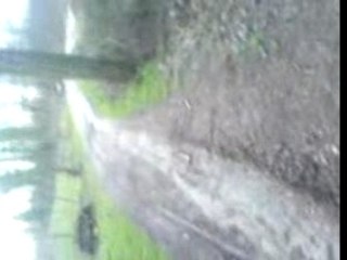 dirt bike 110cc et dt 80