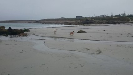 26.09.14 Derniere aprem à la plage