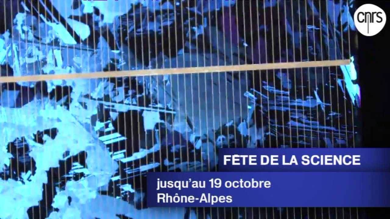 L'Agenda Sortir