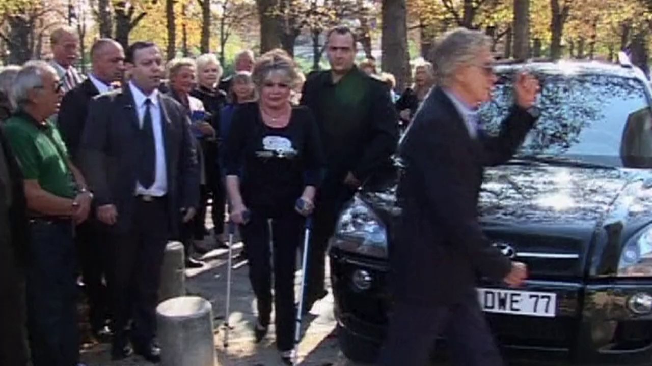 Streitbare sex-ikone: brigitte bardot wird 80