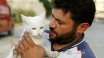 Snapshot of compassion as man cares for stray cats in Syria