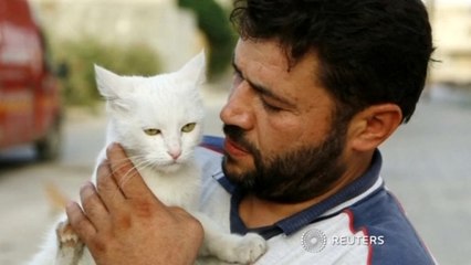 Snapshot of compassion as man cares for stray cats in Syria