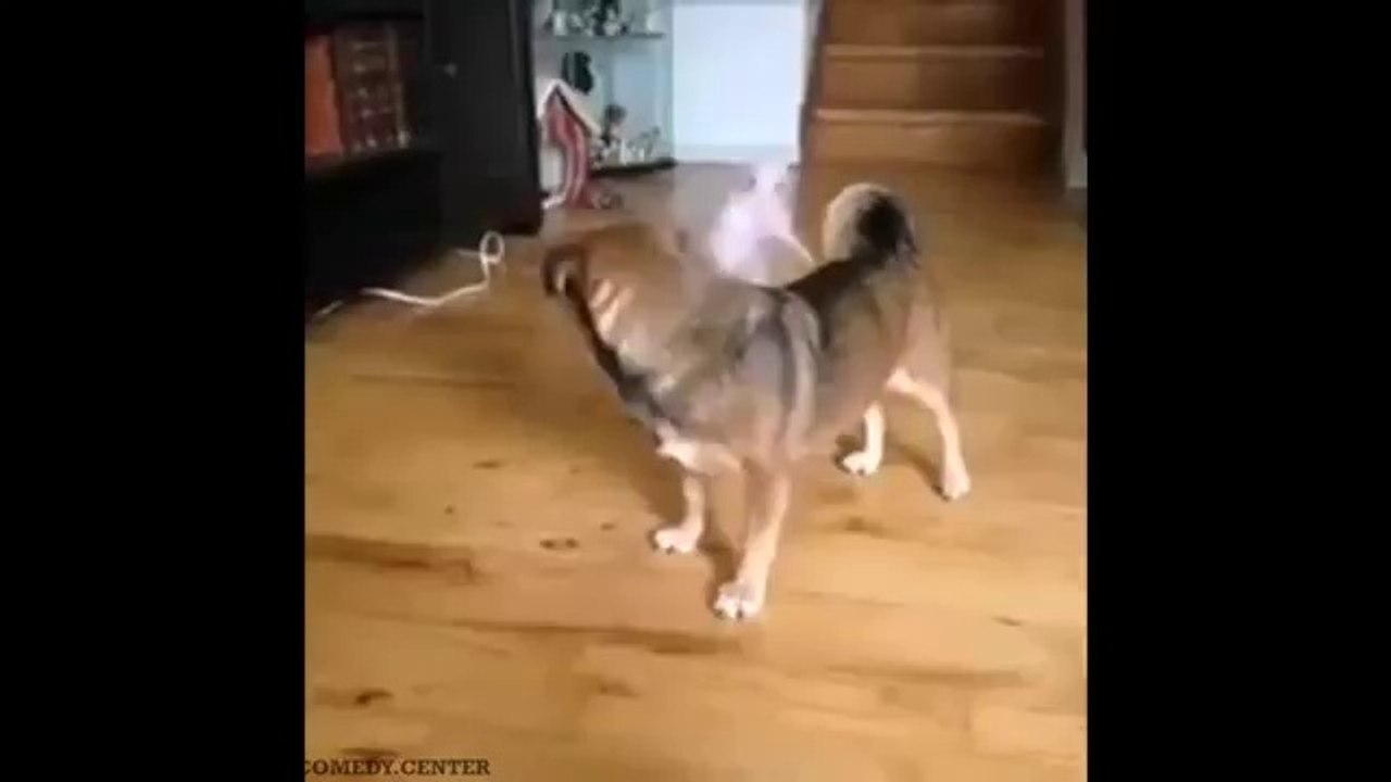 Best friend vine
