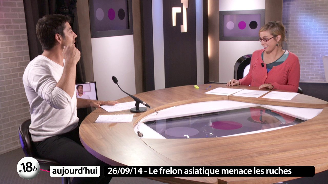Frelon asiatique / Patrick Timsit vient roder à Nantes