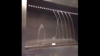 Water Notes; Only In Japan Best Vine - Best of Vines