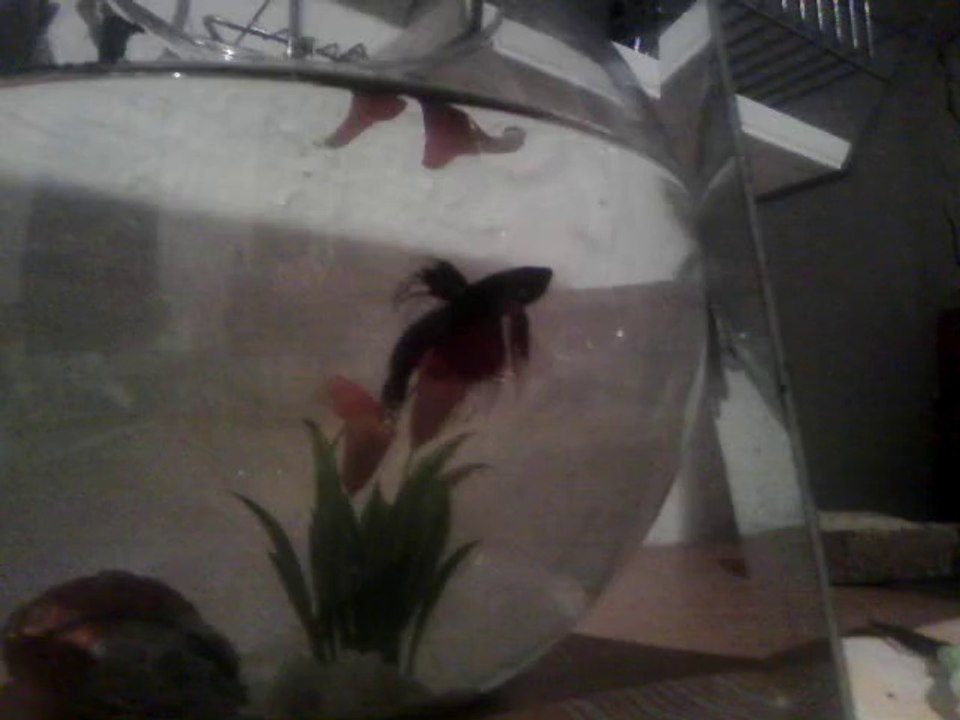 VID_20140926_221646[1]