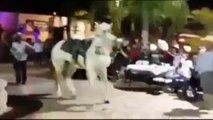 Horse dancing