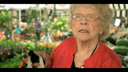 Insalata Caprese | Kısa Film