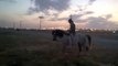 Riding horses(arabian riding)13 minutes ride