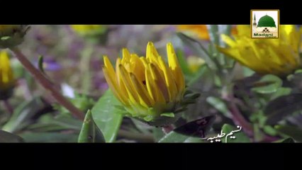 Taaruf e Ameer e Ahlesunnat 06 - Aap Ki Walida Majida