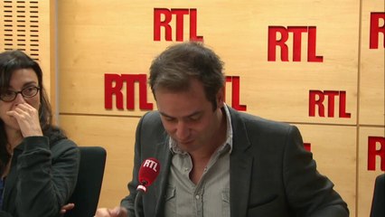 Tanguy Pastureau : New York : meurtre de Chuck la marmotte