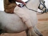 Riding horses(arabian riding)4th ride after 6 months rest