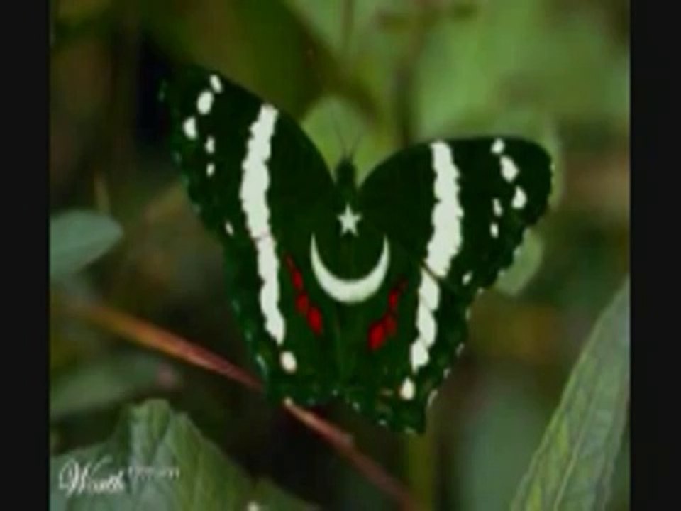 Bol Mitti deya Baveya - Alam Lohar