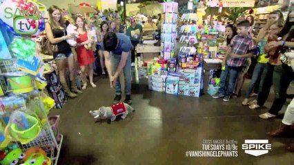 Peluş Oyuncakları Canlandıran Sihirbaz