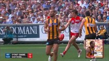 AFL 2014 - Grand Final - Sydney v Hawthorn (3rd quarter)