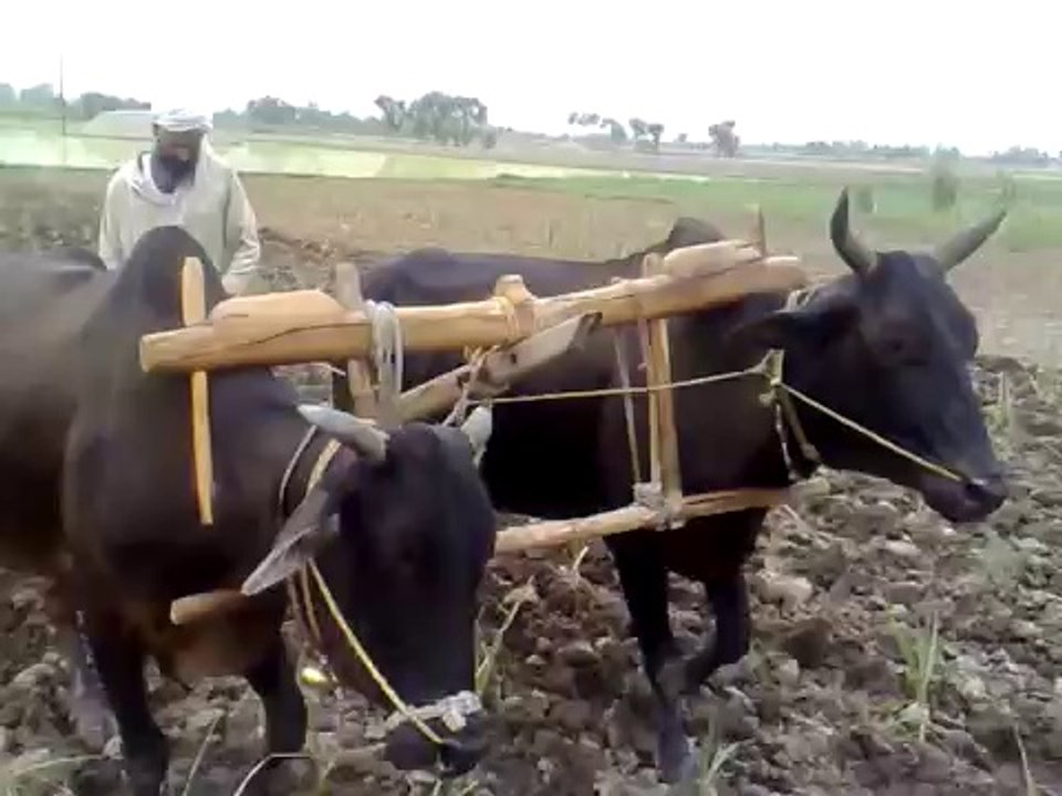 Alam Lohar - Punjabi Mahiya