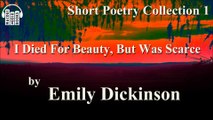 I Died for Beauty, but was Scarce by Emily Dickinson Poem Free Audio Book Short Poetry Collection 1