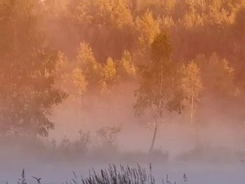 Pluie d'automne Jean-Louis Murat