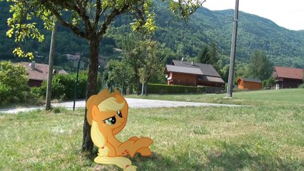 Applejack's Falcon Kick (MLP in real life)