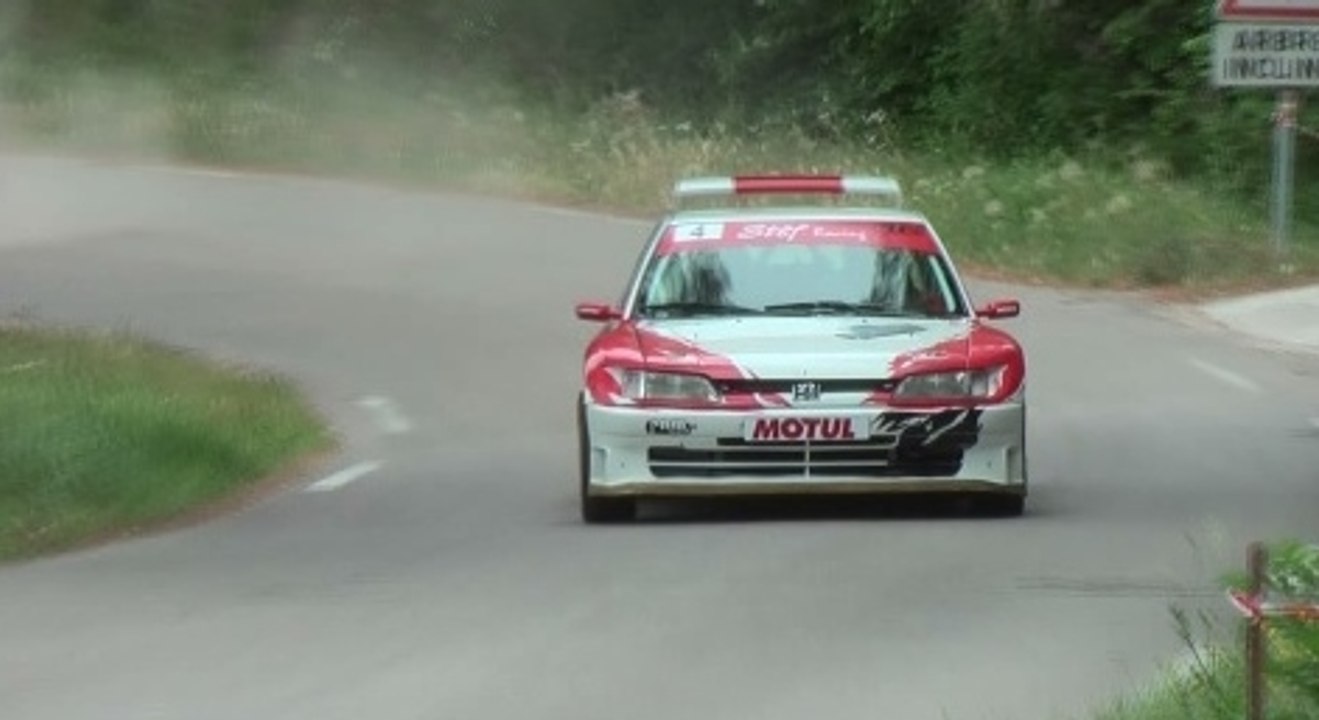 Rallye Mont de Vaucluse 2014 [HD]