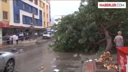 Fırtınada Ağaçlar Devrildi, Çatılar Uçtu (2)