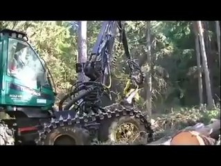 easiest way of cutting trees