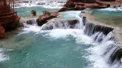 1 - (Cap.2) - La Reencarnación y morir para renacer