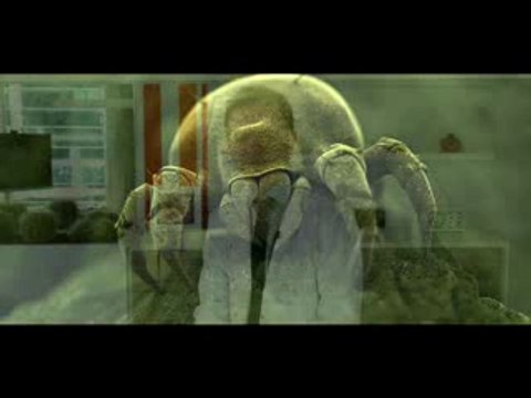 Çocuk Alerji Uzmanı Doç. Dr. Ahmet Akçay - Mite Nedir