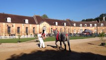 Championnat de France des percherons