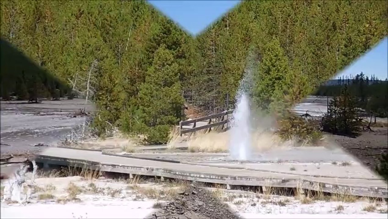 Yellowstone Août 2014