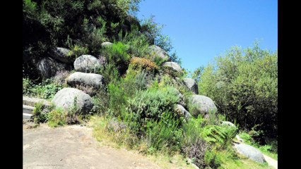 ©HD SIDOBRE TARN 09-2014 N°1 ANCIAUX MARTINE CREATRICE DE LA PHOTO-PEINTURE PHOTOGRAPHE D'ART©