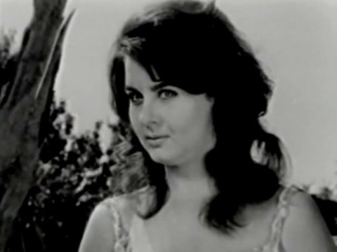 Gülüm Benim Cicim Benim - Neşe Karaböcek (Fikret Hakan & Fatma Girik)