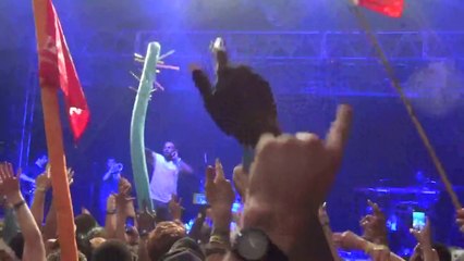 chance the rapper bonnaroo 2014