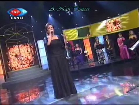 Aysun GÜLTEKİN *Değirmen Başında Vurdular Beni*