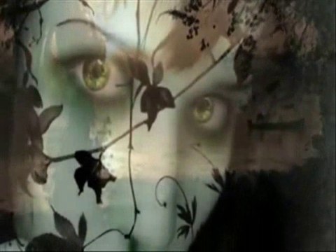 Evil Voodoo Queen Featuring Paul Graham on lead guitar