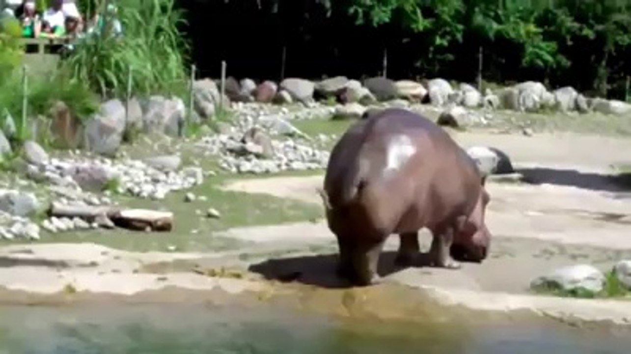 Yok Böyle Bir Osuruk !