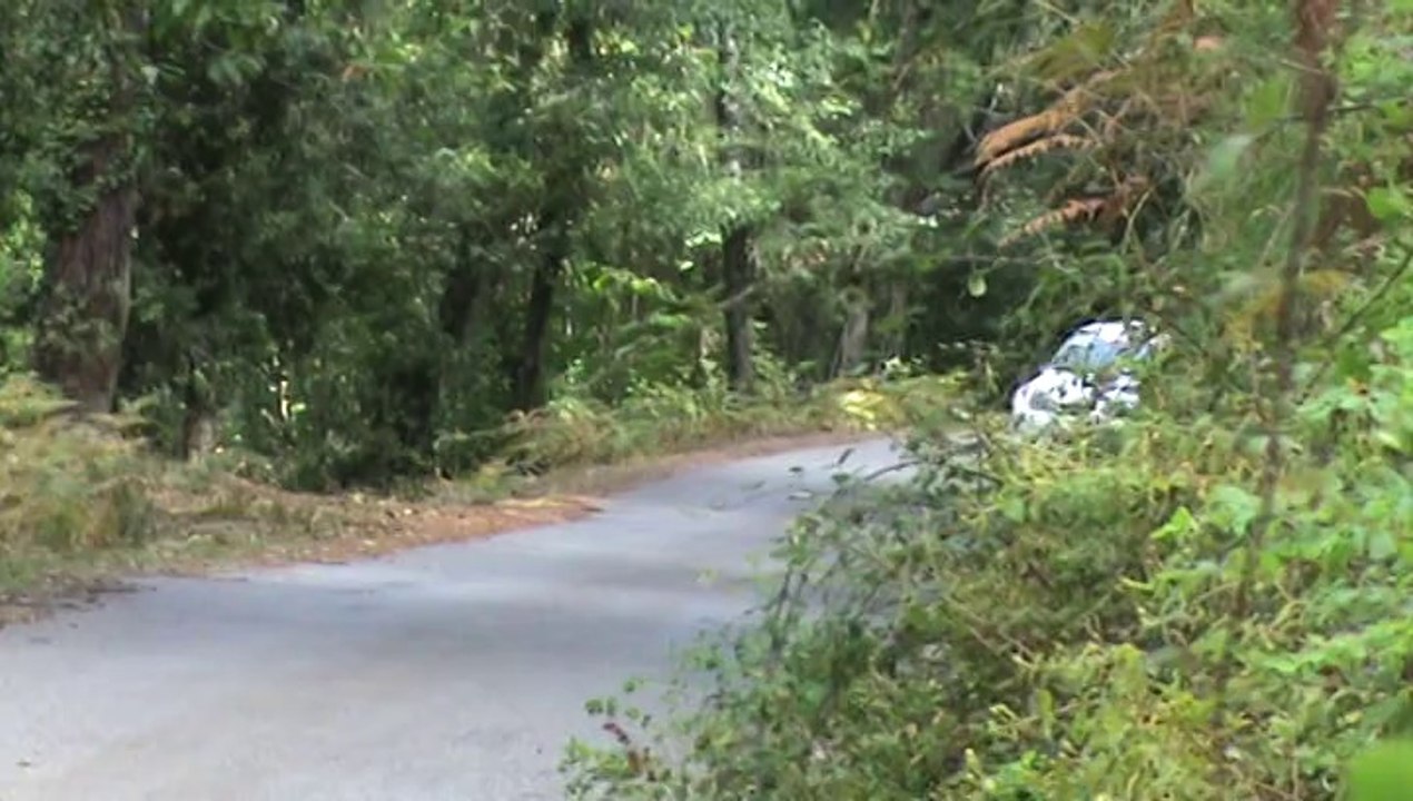 Rallye de corte 2014 Alerini - Raffaelli