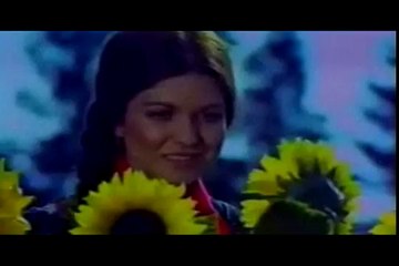 Kır Çiçekleri - Gülden Karaböcek