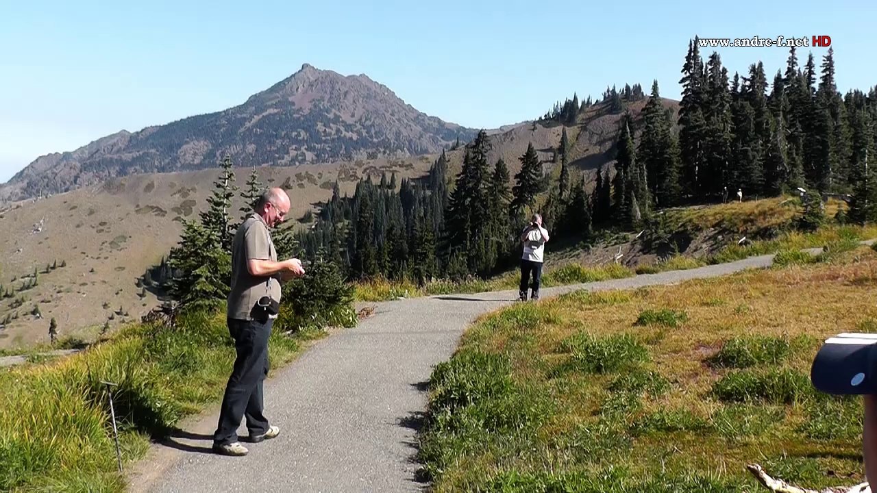 Olympic-Nationalpark