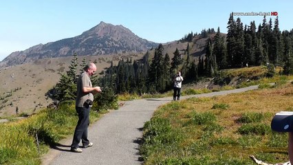 Olympic-Nationalpark