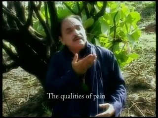 Khoobi Manjh Khifat (Shah Abdul Lati Bhitai R.A)