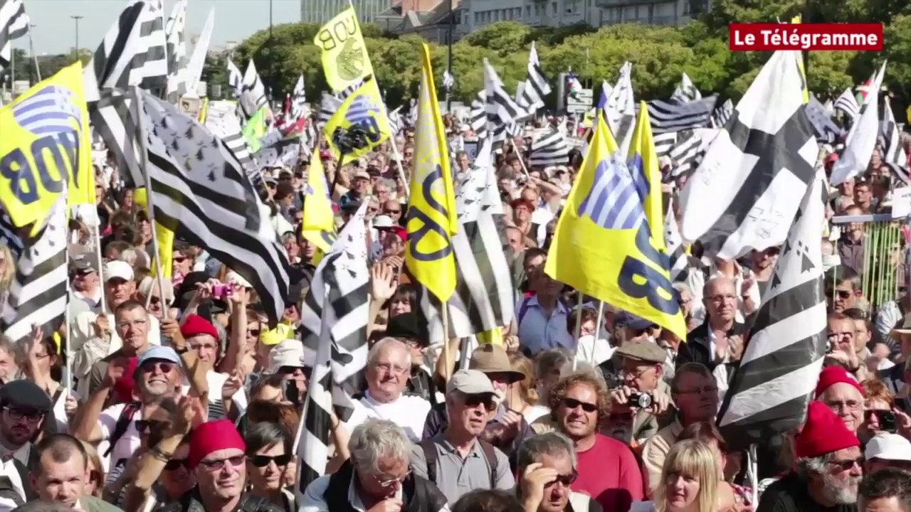 Nantes. Bretagne à cinq : l'essentiel de la manifestation