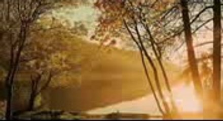 Neil Diamond  I Am I Said