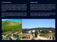 BLUE SIDE - Spécialiste achat vente propriétés et domaines viticoles Var Provence - Specialist purchase and sales vineyard estates wineries Provence