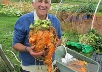 Snoop Dogg's Welsh Friend Presents One of World's Heaviest Carrots