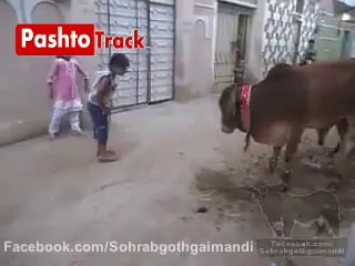 Pakistani Kids Funny Clips Pashtotrack